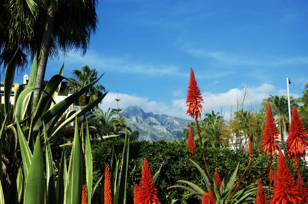 Botanic Apartament